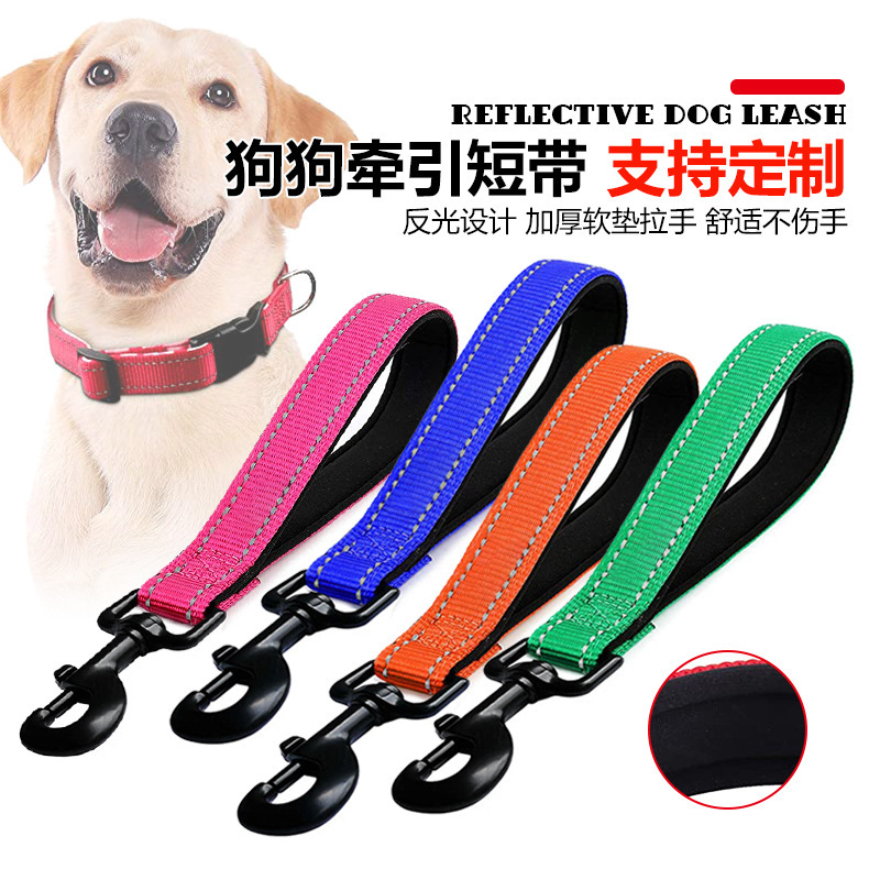 Con chó Nylon mới kéo dây kéo, kéo con thú cưng của nó ra một cách nhẹ nhàng bằng dây chó xay.