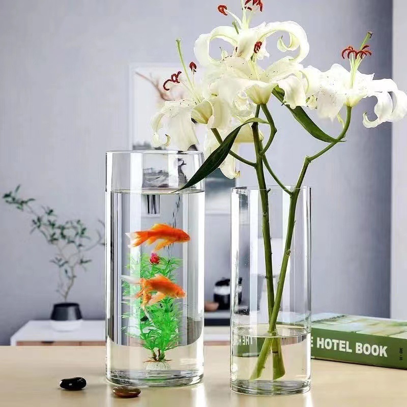 Trong suốt những bình thủy tinh hình chữ nhật với cảm giác say và tỏa ra những quả mận.