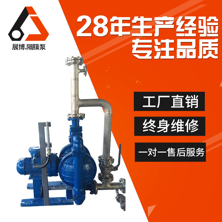 Custom plant production of DBY-100 electric diaphragm pump fluorine/acid alkali/septic rotor pump