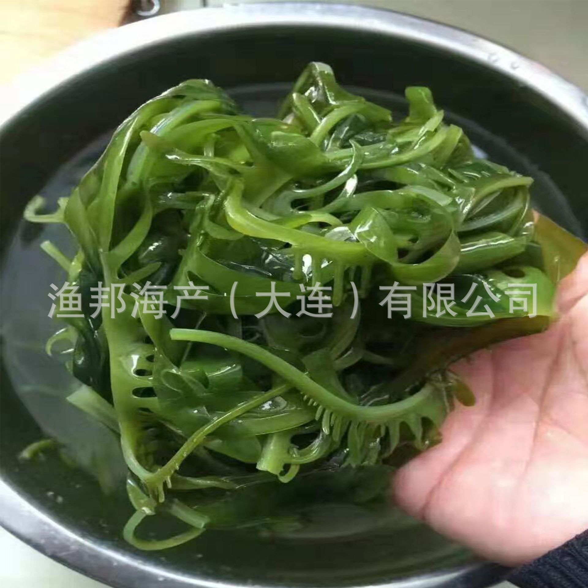 Giá đỗ tai-tai-tai-tảo biển 2/5/10 kg/giá đỗ mềm