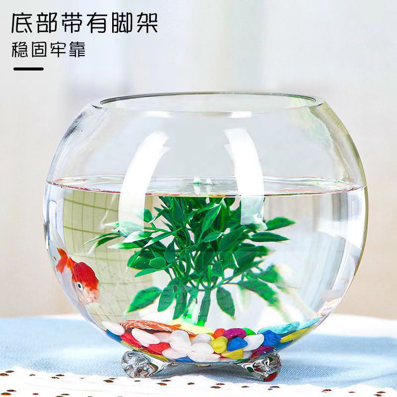 Ba cái bể cá thủy tinh ba chân, món quà sáng tạo được tô màu môi trường nhỏ, hàng hóa môi trường đa túi.