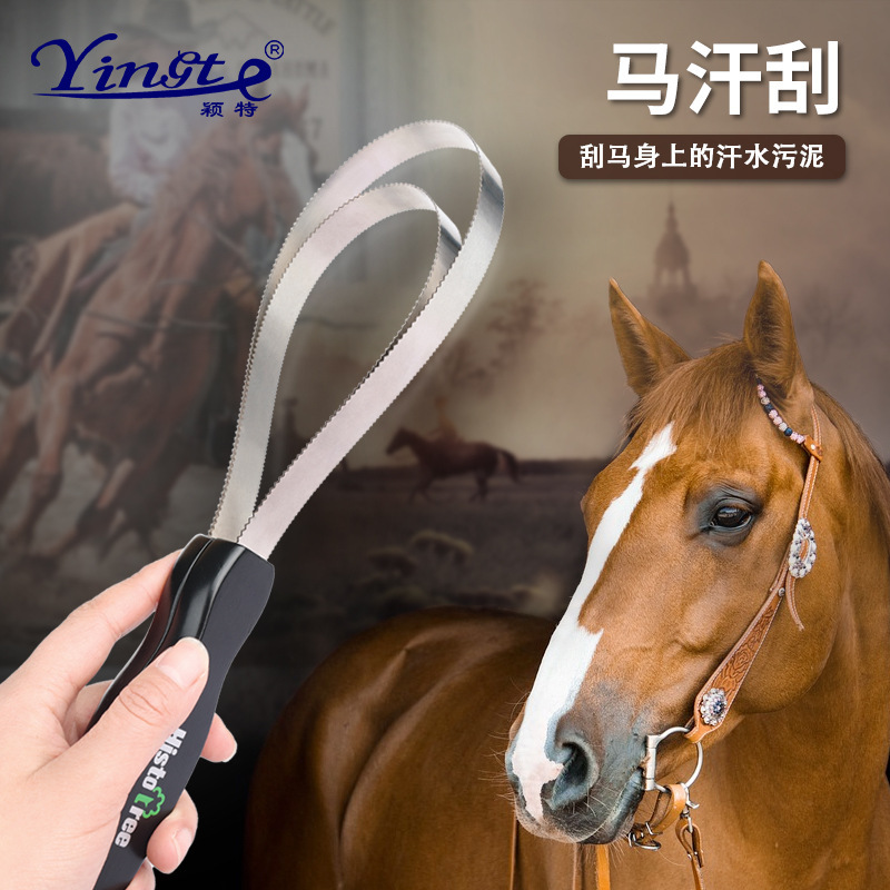 馬術用品馬用清潔刷馬汗刮 羊毛刷劍麻刷馬具用品洗馬刷