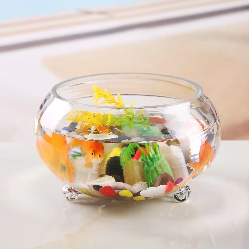 Những con rùa nước bàn nhỏ với những cái nắp chai dày, trong suốt và những cái vuốt.