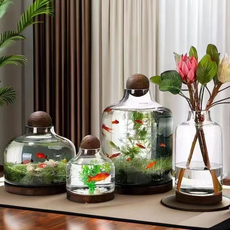 Toàn bộ thùng cá sinh thái của nhà sản xuất, kính trong suốt hàng ngày và chất thải cá dày.