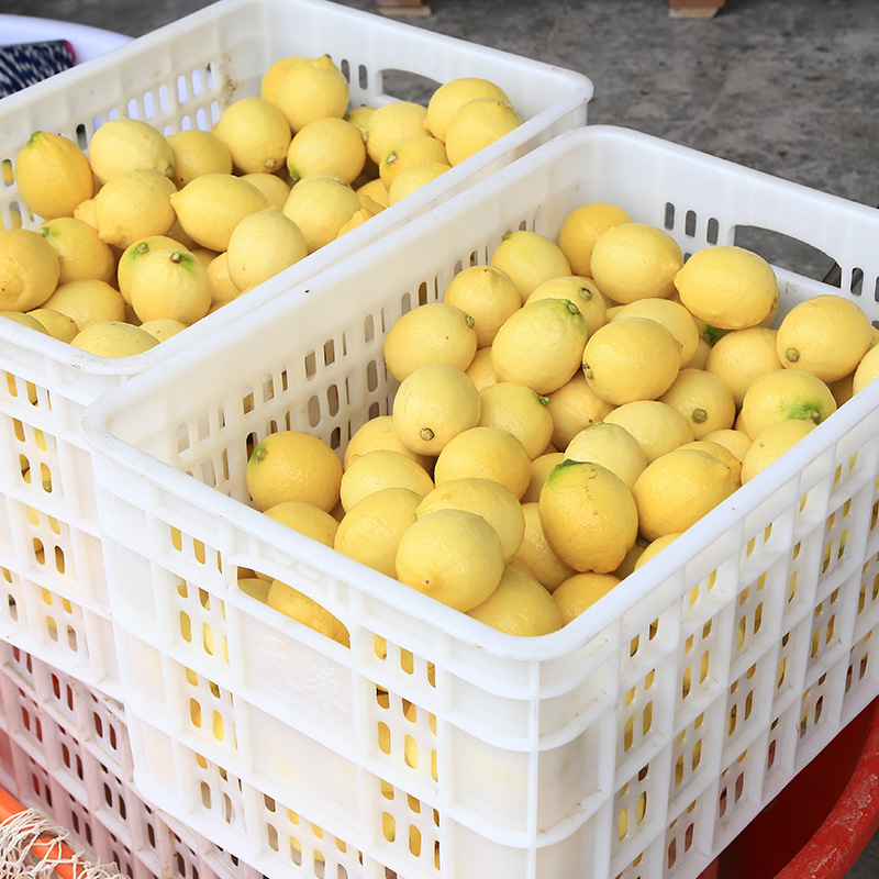 Sichuan Angry lemon fruit, fresh orange lemon, good-quality fruit, 5-pound mail.
