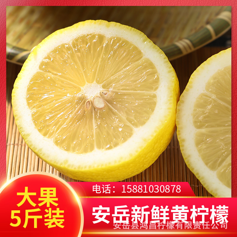 Yellow Lemon Fresh Lemon Fruit An Emerald Lemon Base direct-out fruit, 250-400 grams each