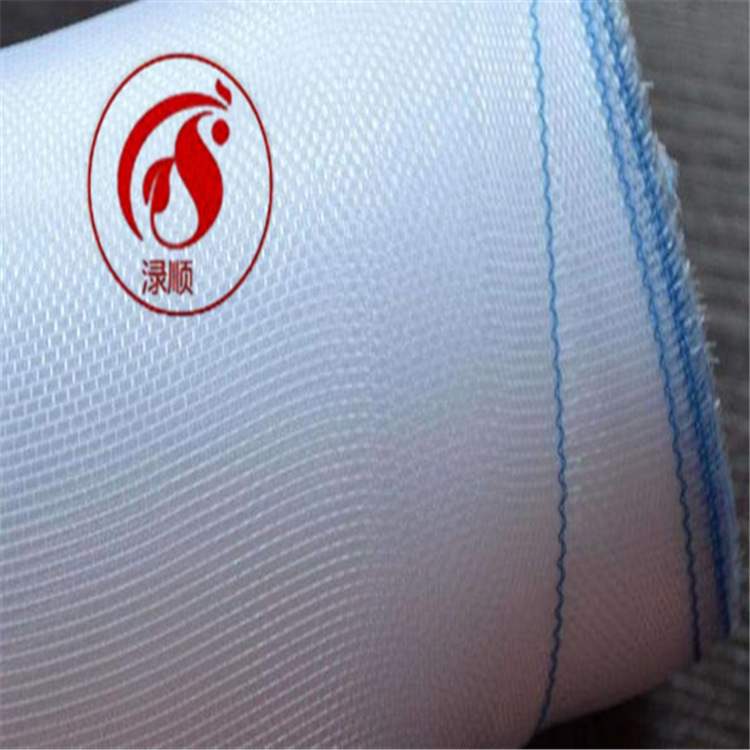 白色窗纱 防虫乙烯网 纯新料大丝防虫窗纱