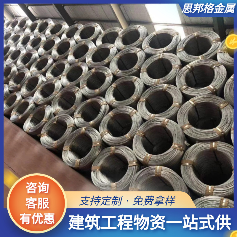 廠家直銷熱鍍鋅鋼絲架空鋼絞線鋼絲大棚鋼絲電纜鎧裝鋼絲量大優惠
