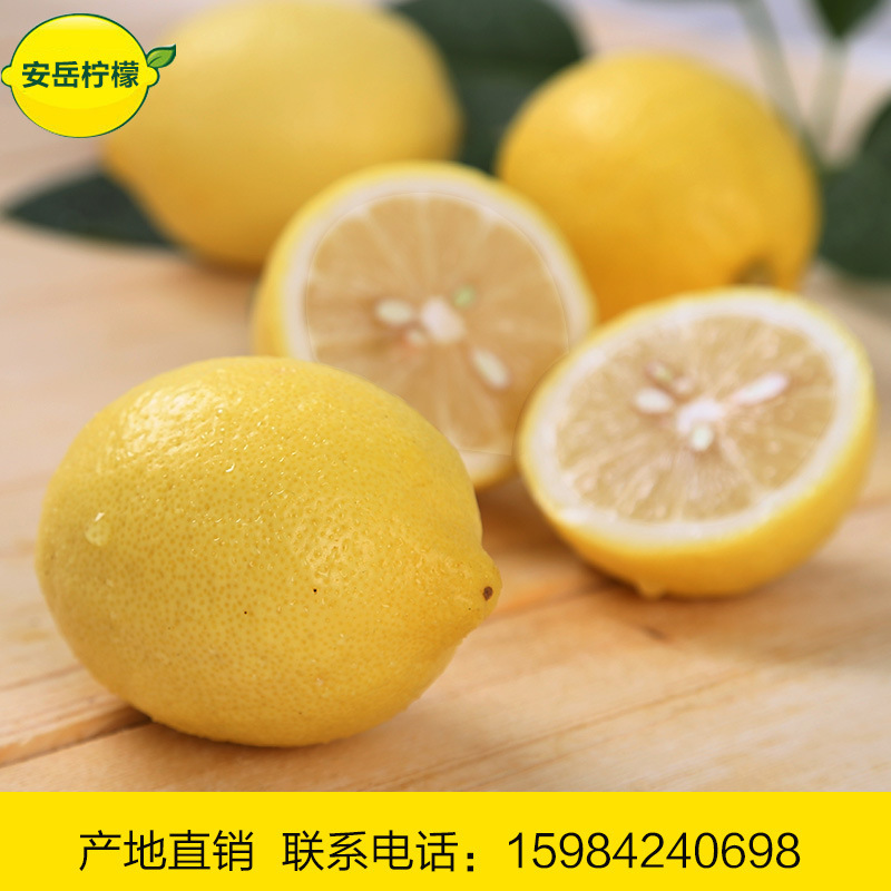 Sichuan Angry lemon fruit, fresh orange lemon, good-quality fruit, 5-pound mail.