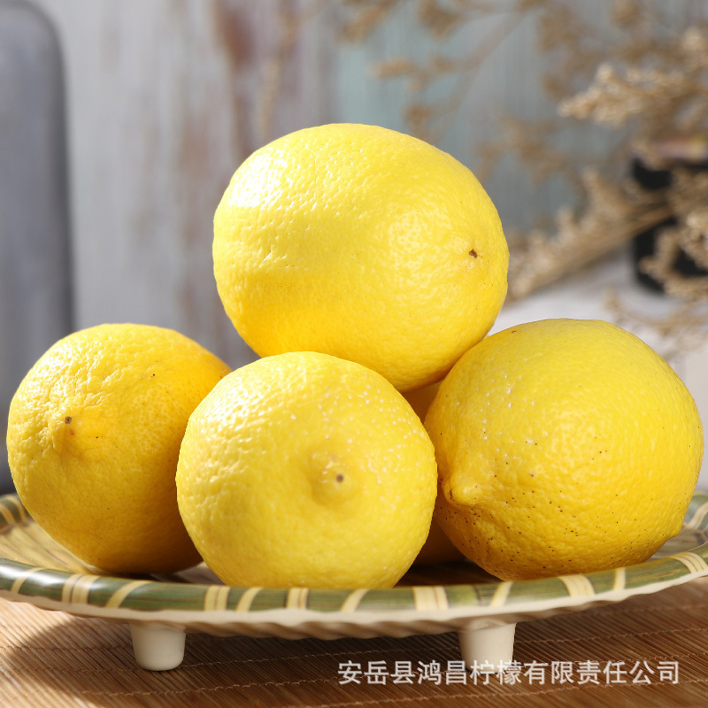 Fresh lemon and green lemon fruit, five pounds of lemon.