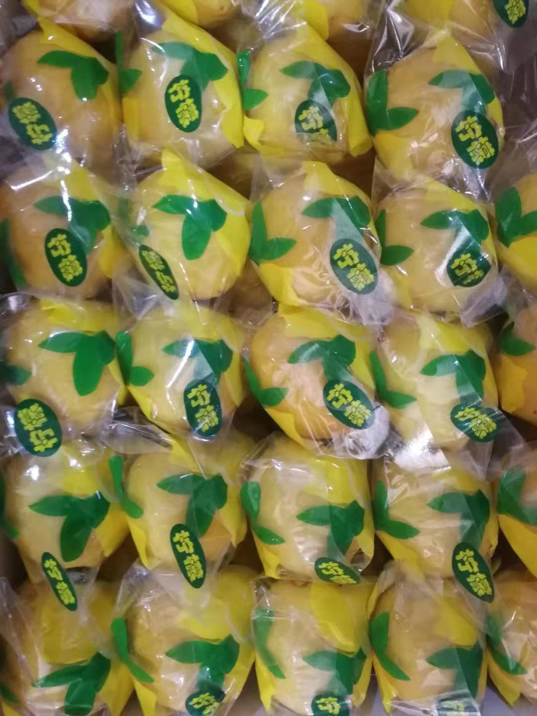 chanh vàng, chanh vàng, chanh vàng và chanh.