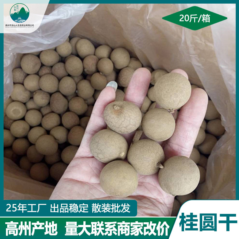 대량 포탄은, 선체의 작은 nuclei, Gaozhou에 있는 2024년에 새로운 화물 콘테이너에서 건조한 음식의 20 파운드이었습니다.