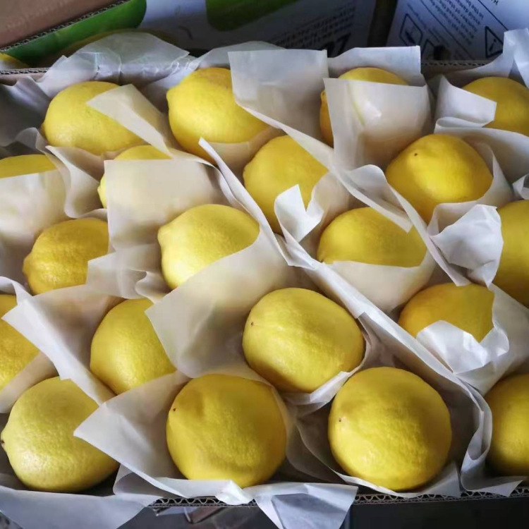 Yellow Lemon Lemon Lemon Lemon Lemon Lemon Fruit Export Packing Customized as a substitute