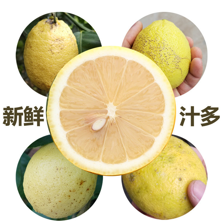 I'll give you a nice, juicy, juicy lemon peel.