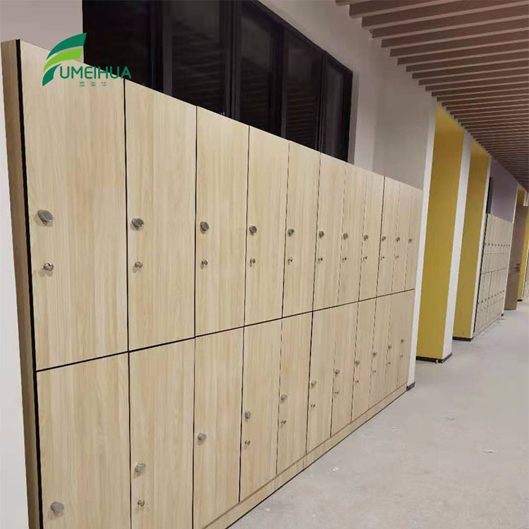 Shenzhen, Guangdong, distributes anti-heavy lockers, waterproof and clean.