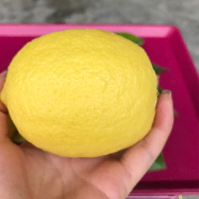 Fresh lemon and a big lemon, fresh and wholesale.