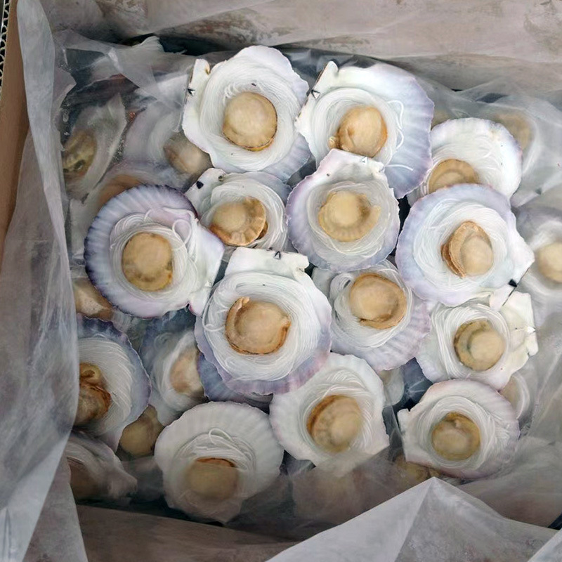 100 cây sáp/ hộp cho hải sản