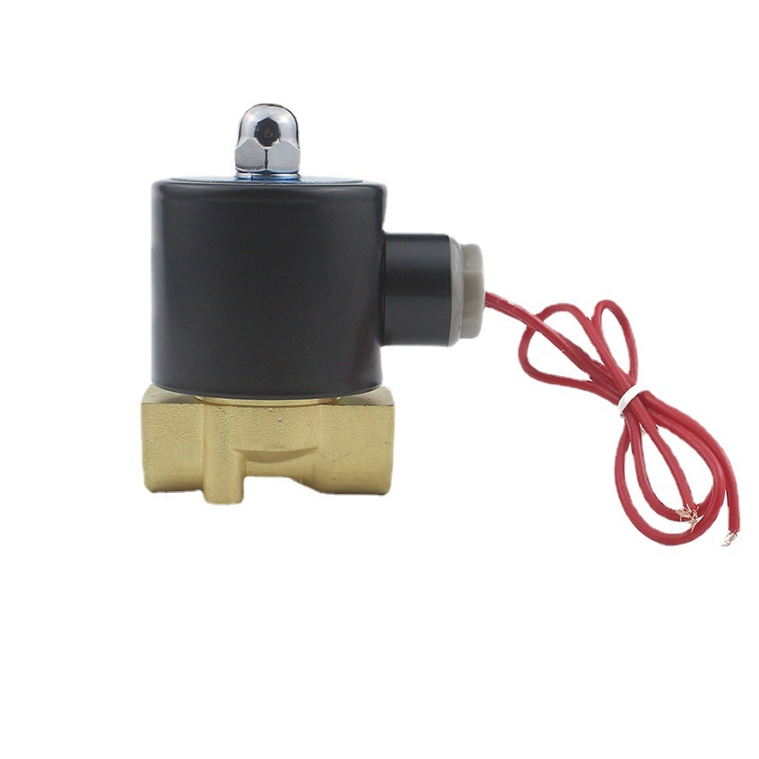 2W Series 2W025-08 DN8 AC220V DC24V EMP water valves