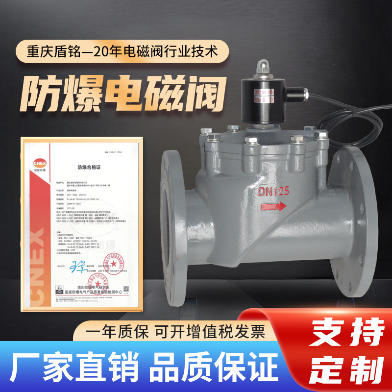 แม่เหล็กไฟฟ้า Valves ต้านระเบิดแม่เหล็ก วอลฟ์หล่อเหล็กในรูปแบบฝรั่งเศส