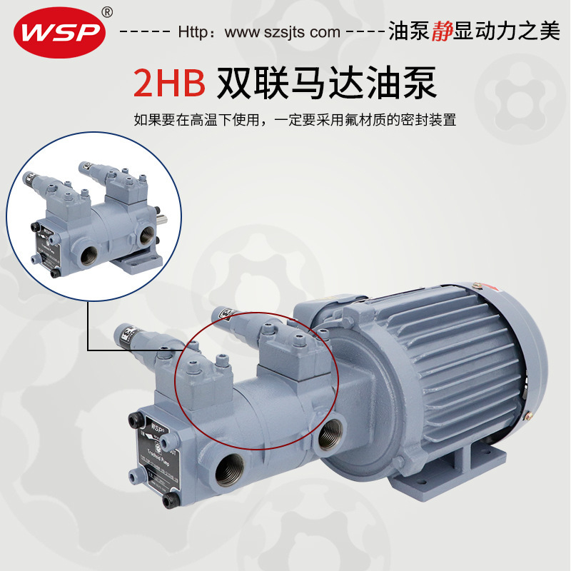 WSP One Double Pump Top-208HBM+210HB motor Double Pump, Line Pump