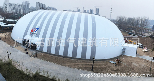 Thermal inflatable film 2010