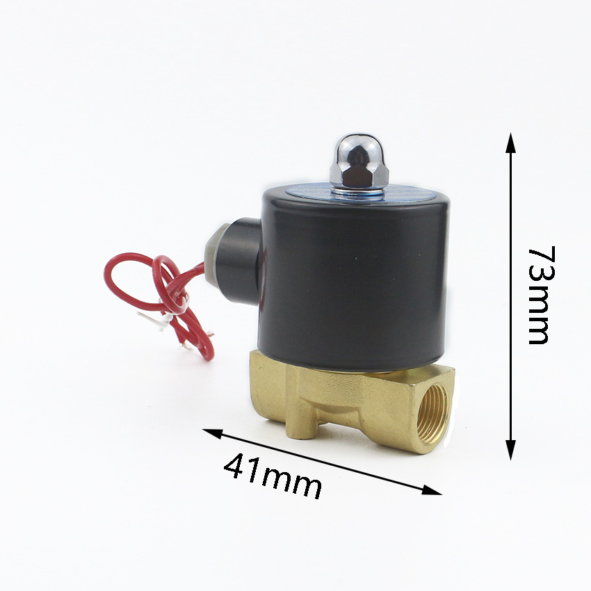 2W Series 2W025-08 DN8 AC220V DC24V EMP water valves