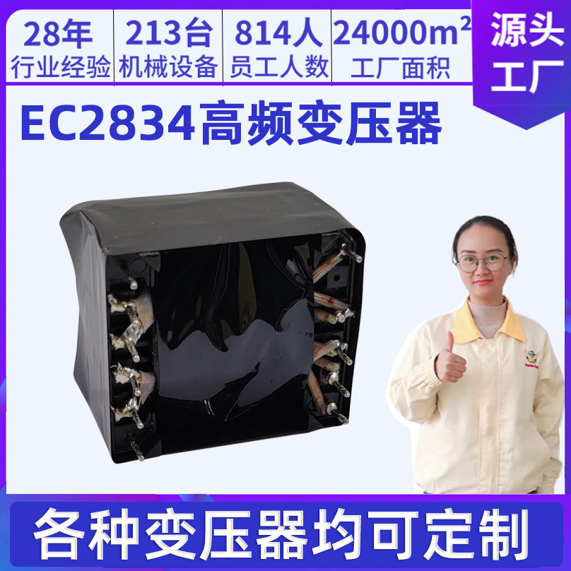 Process customised EC2834 small transformer single-phase 220v ~12v adhesive transformerefd20 24v