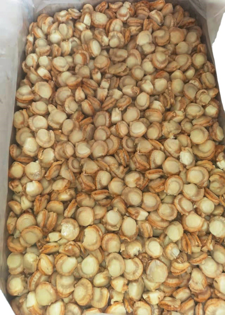 Cảng Fish Nagayama đông lạnh với chảo nướng và sò quay tươi.