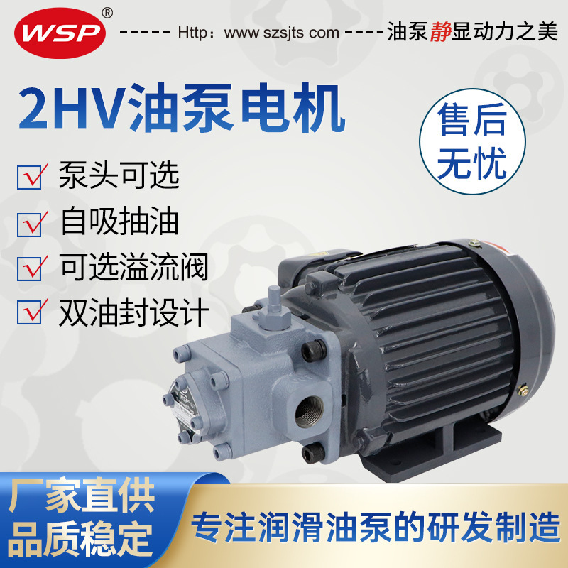 Direct sale, line pump, lubricant pump, Top-2ML 400-2HV20-VO motor pump