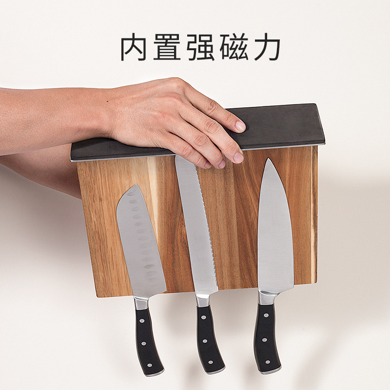 부엌 카운터에 있는 2 마그네 살비는 잎은 다목적 잎의 간단한 전시입니다.