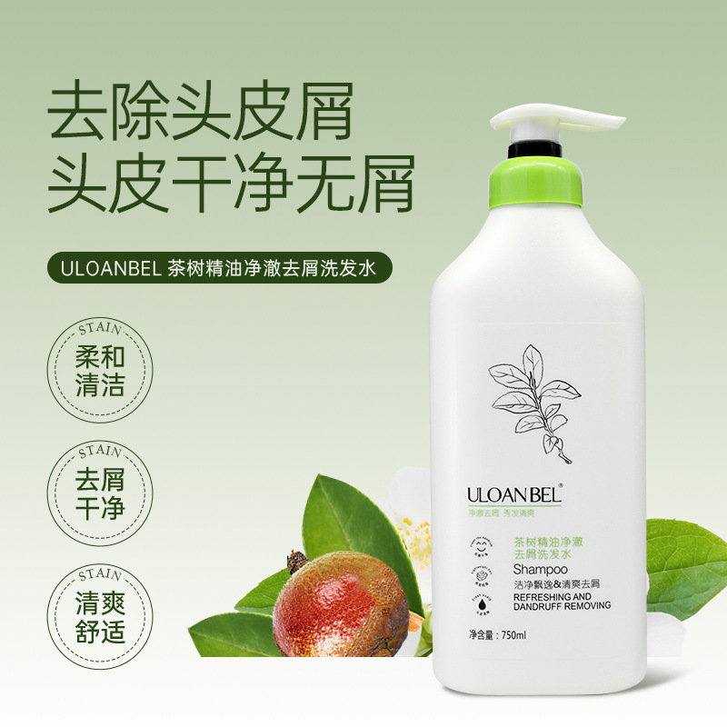 Nut oil soft shampoo, 750 ml, smooth, smooth, smooth, smooth, smooth hair-washing cream for the lady.