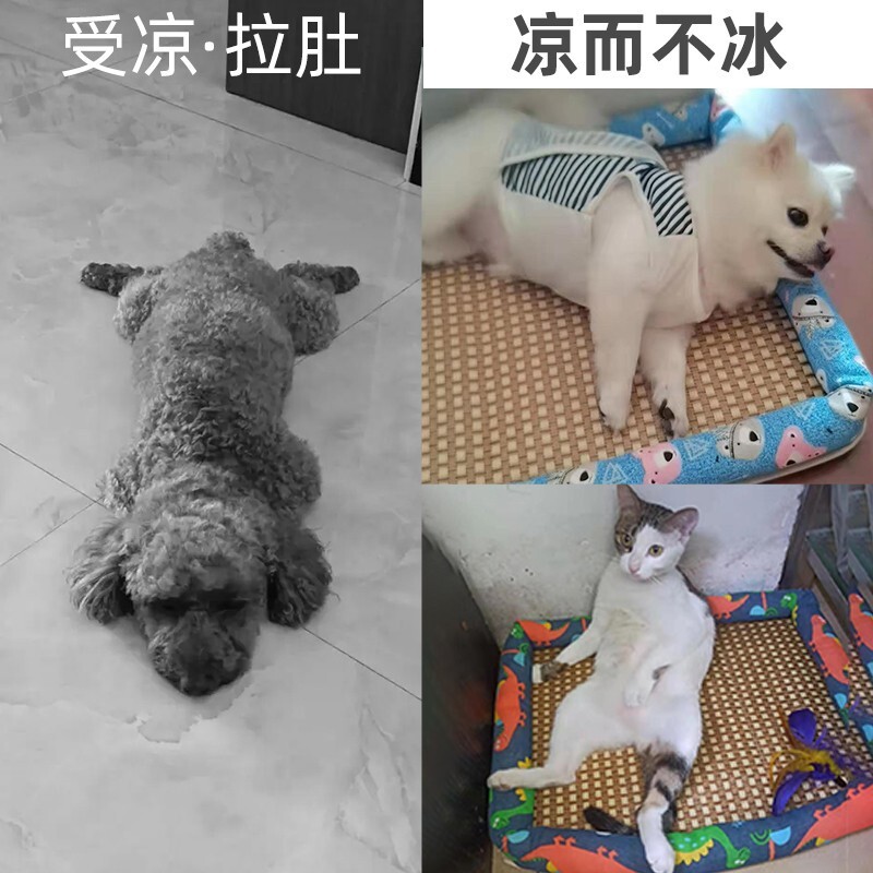 夏天涼蓆狗窩貓窩夏季狗狗窩寵物用品泰迪小型犬狗牀墊子四季通用