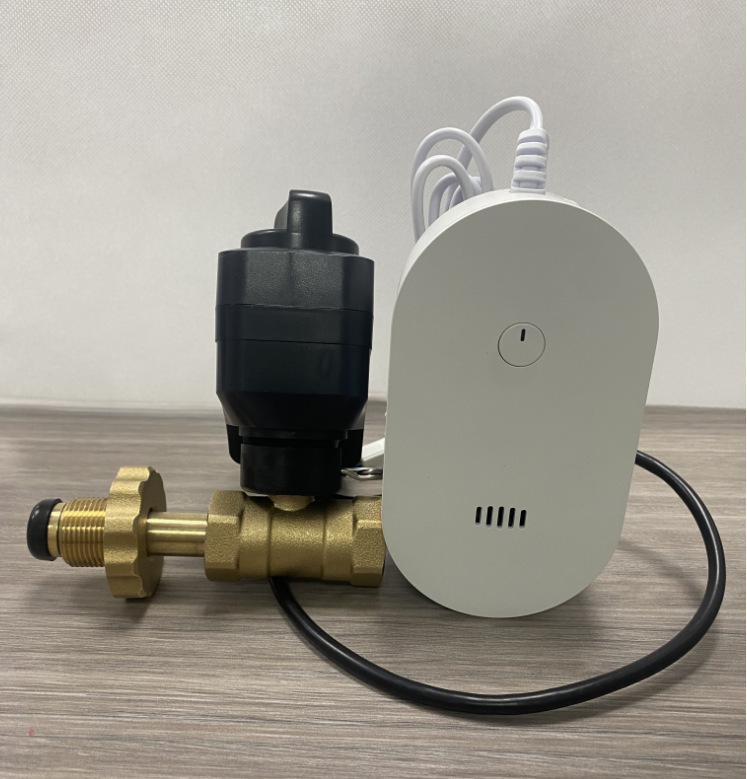 Flammable gas leaking automatic shut-off valve-driven electromagnetic valve mechanical hand-licensed steel cylinder gas gas detectors