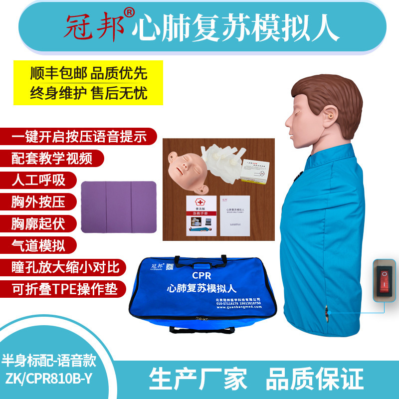 半身心肺复苏模拟人（标配） 急救训练模型 教学模型 ZK/CPR810B