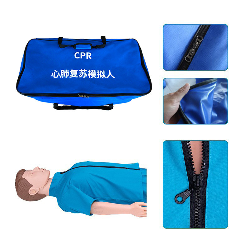 CPR training model for CPR resuscitation simulator