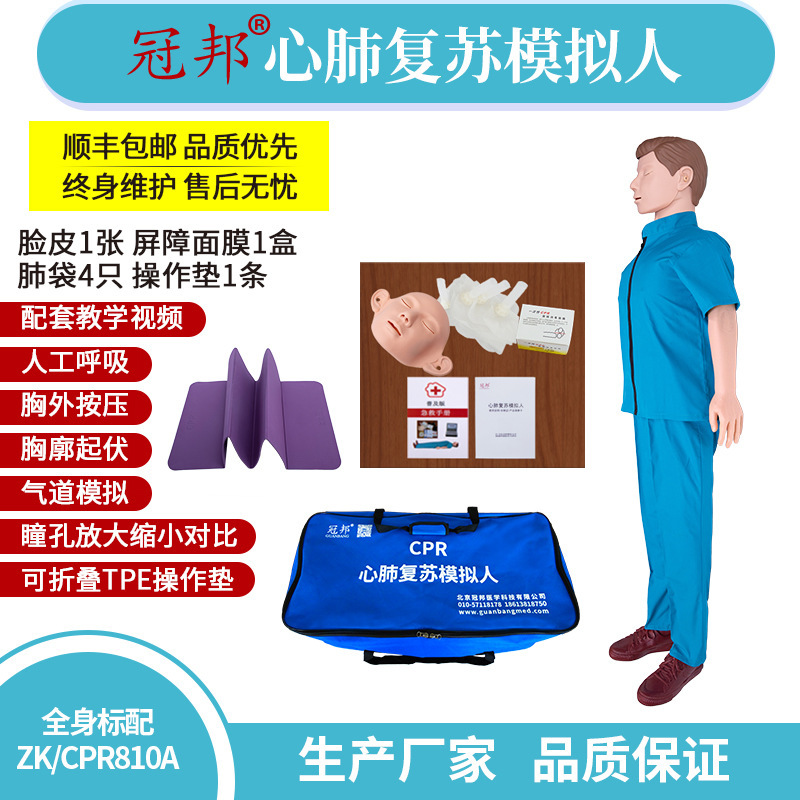 全身心肺复苏模拟人（标配） 急救训练模型 教学模型 ZK/CPR810A