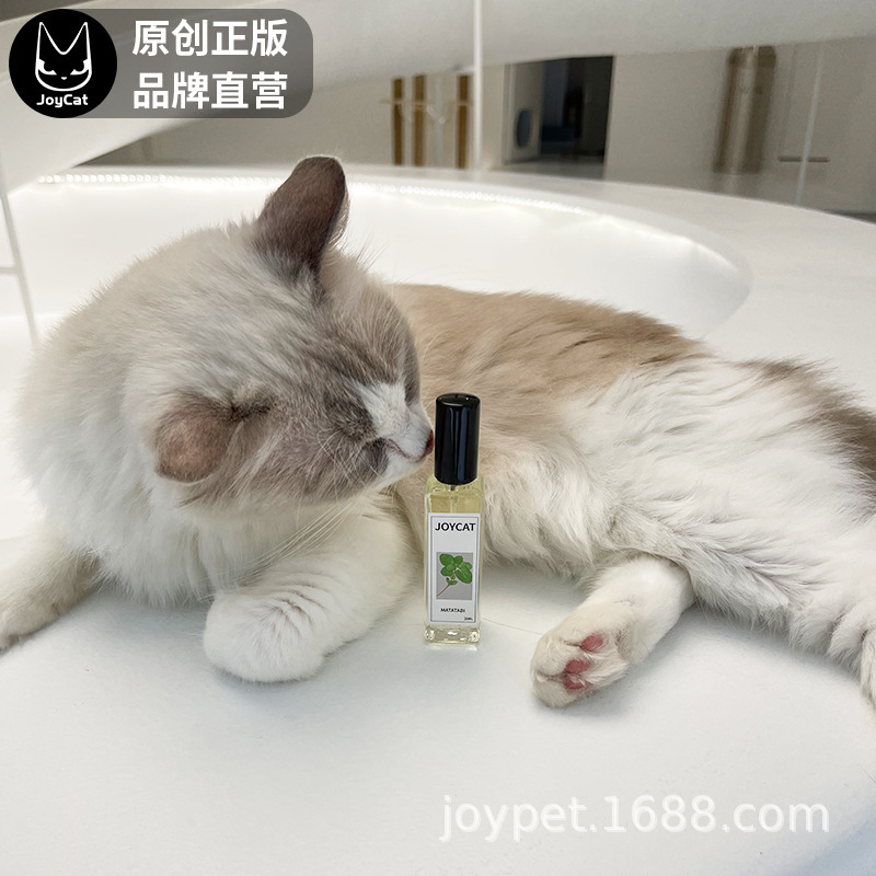 Con mèo JoyCat với một con bọ nước vui vẻ với một con mèo bạc hà với dưa muối và một quả bóng lông.