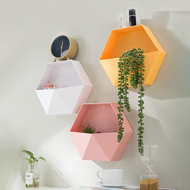 Một bức tường sáng tạo dài với một bó nước để cho hoa lan ăn.