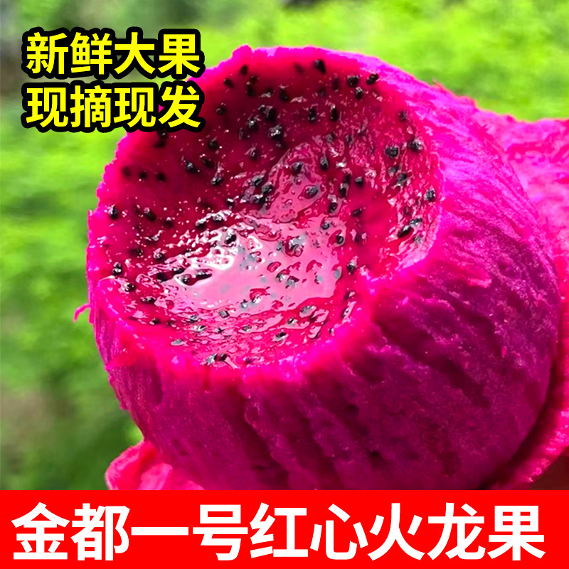 Toàn bộ hộp gồm những con hồng hạc đỏ đa phổ đã sẵn sàng.