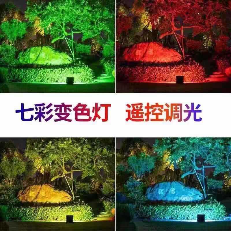 Supply of a double-coloured RGB outdoor lawn view of the Amazon solar led light