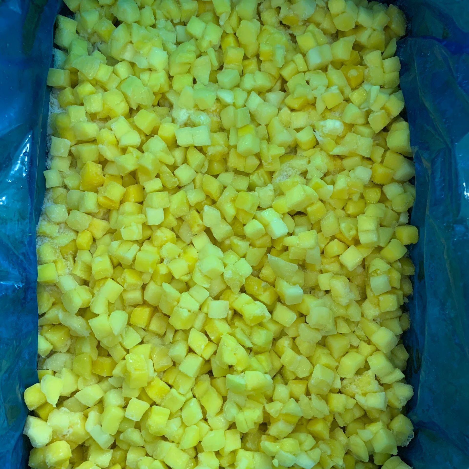 Toàn bộ ngà voi đông lạnh, 10 kg ngà, đồ nướng và đồ uống lạnh.