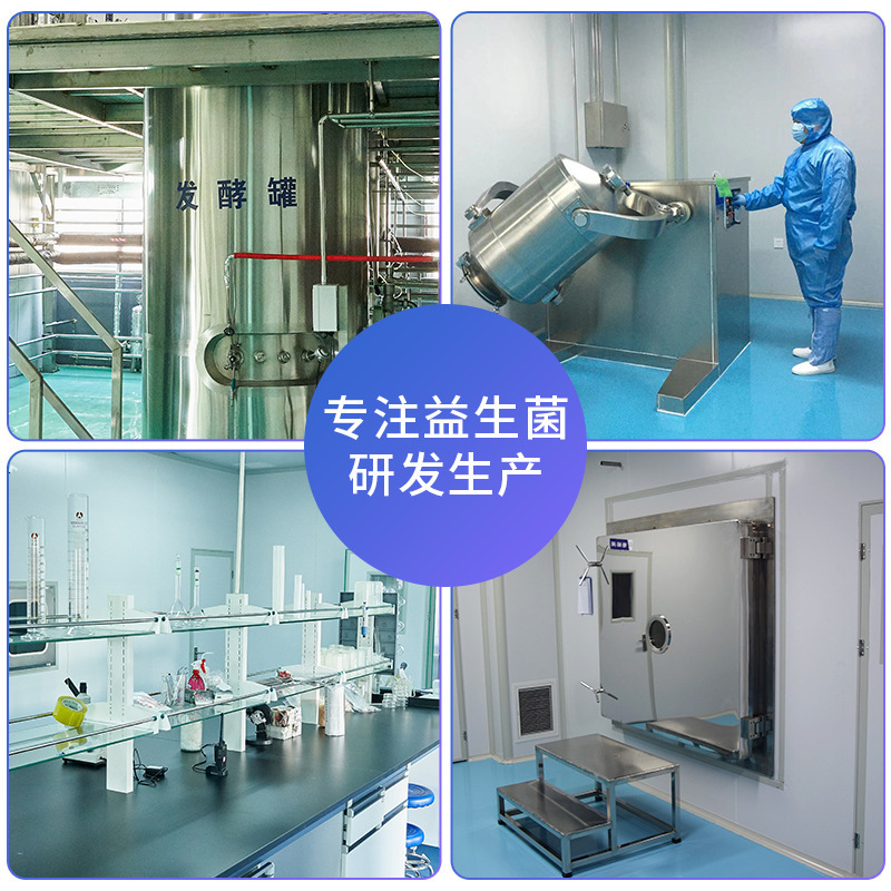 Production of Swiss Bacillus, Frozen Dry Emulsifiable Bacillus, Powdered Solid Beverage Food Powder.