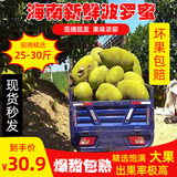Một hộp đầy dứa nặng 2035 pound ở nhiệt đới phía nam.