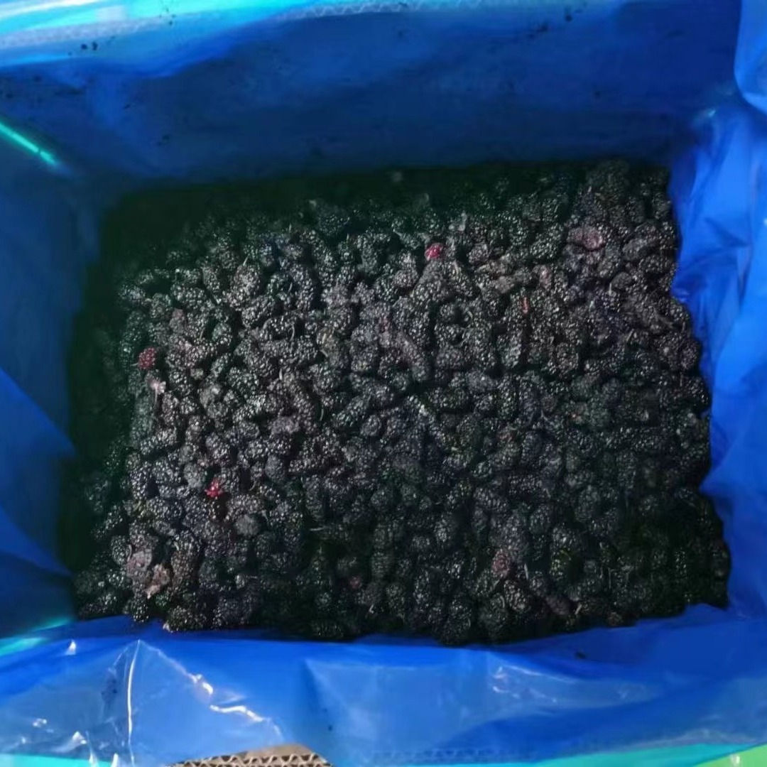 Hạt nước bọt được khử trùng, 10kg trái cây và thịt trái cây, thẳng từ nhà máy sữa và trà.