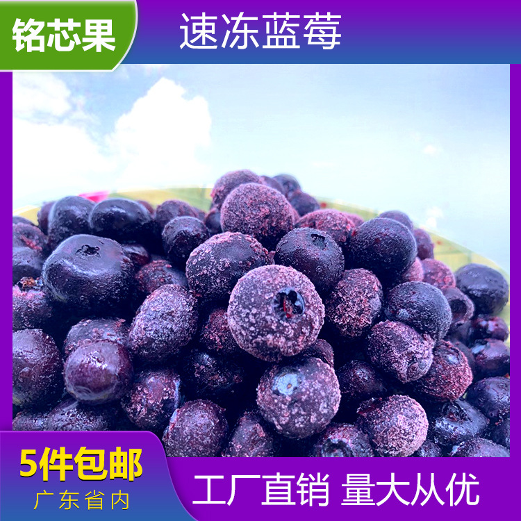 Thịt việt quất đông lạnh, 10 gói, nước việt quất đông lạnh, thức ăn nướng và thức uống lạnh.