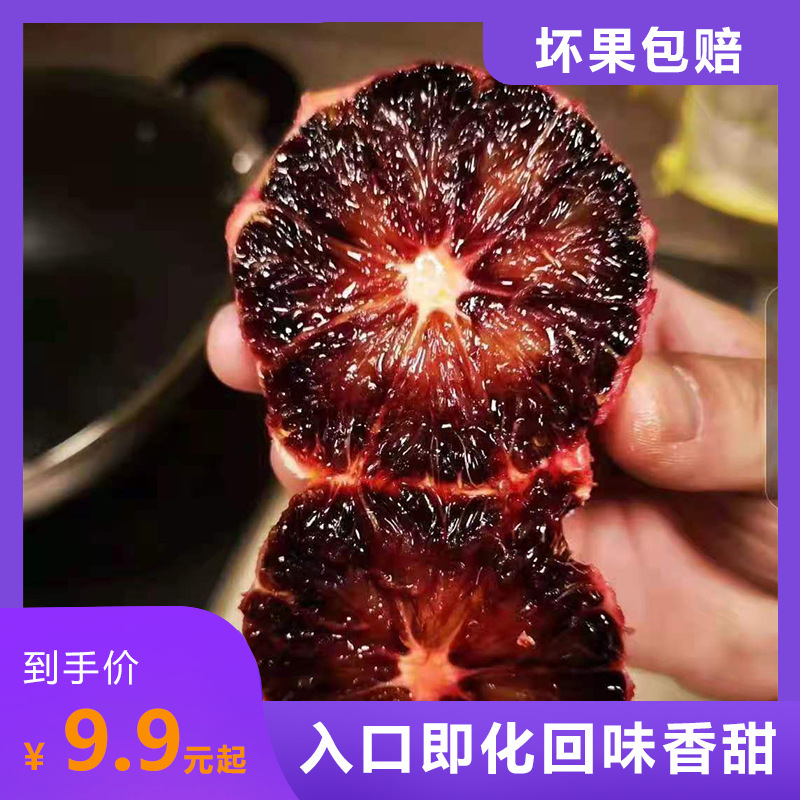 Taroko의 혈액 오렌지.