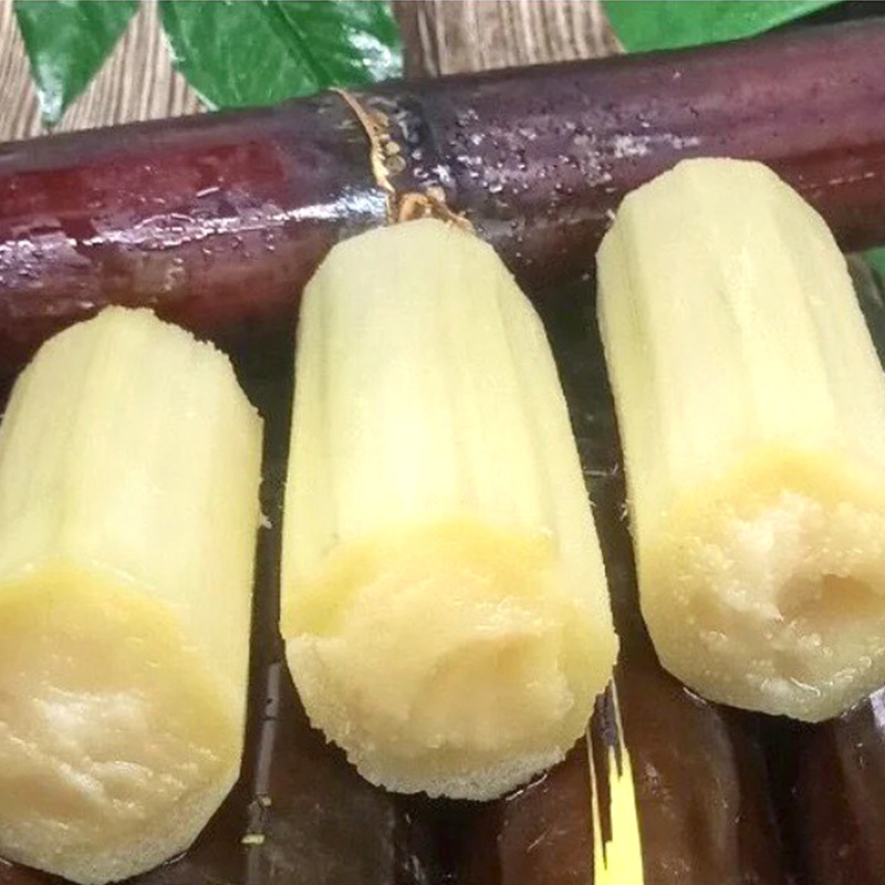 Guangxi의 까만 설탕 지팡이, 3 파운드 신선한 과일 및 설탕 지팡이.