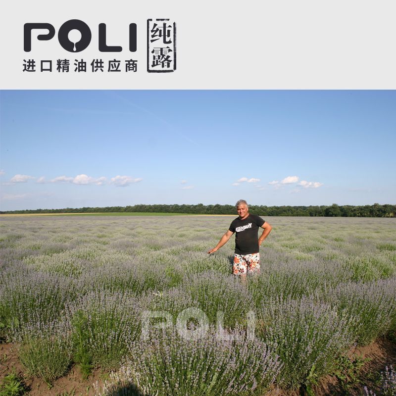 保加利亞有機薰衣草純露 純露花水供應批發 POLI頗黎進口滋潤純露