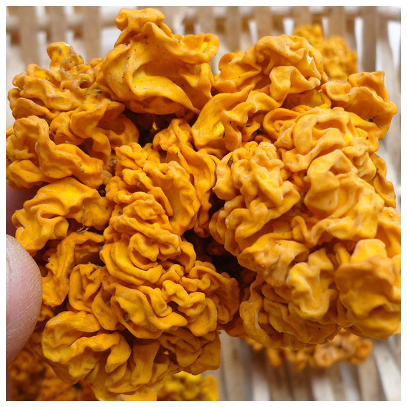 Yunnan makes yellow molluscs, eats the fungus molluscs, and distributes packages in gold moist ears.