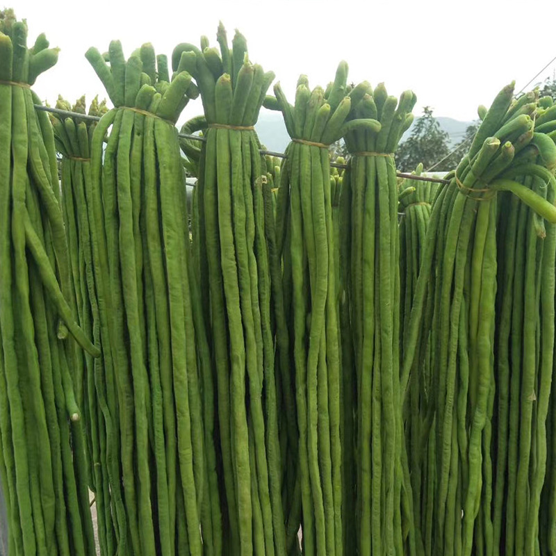 The mountain farmers dry their bean horns, Yunnan dehydrated vegetables dry, long bean bean long soybean wholesale.